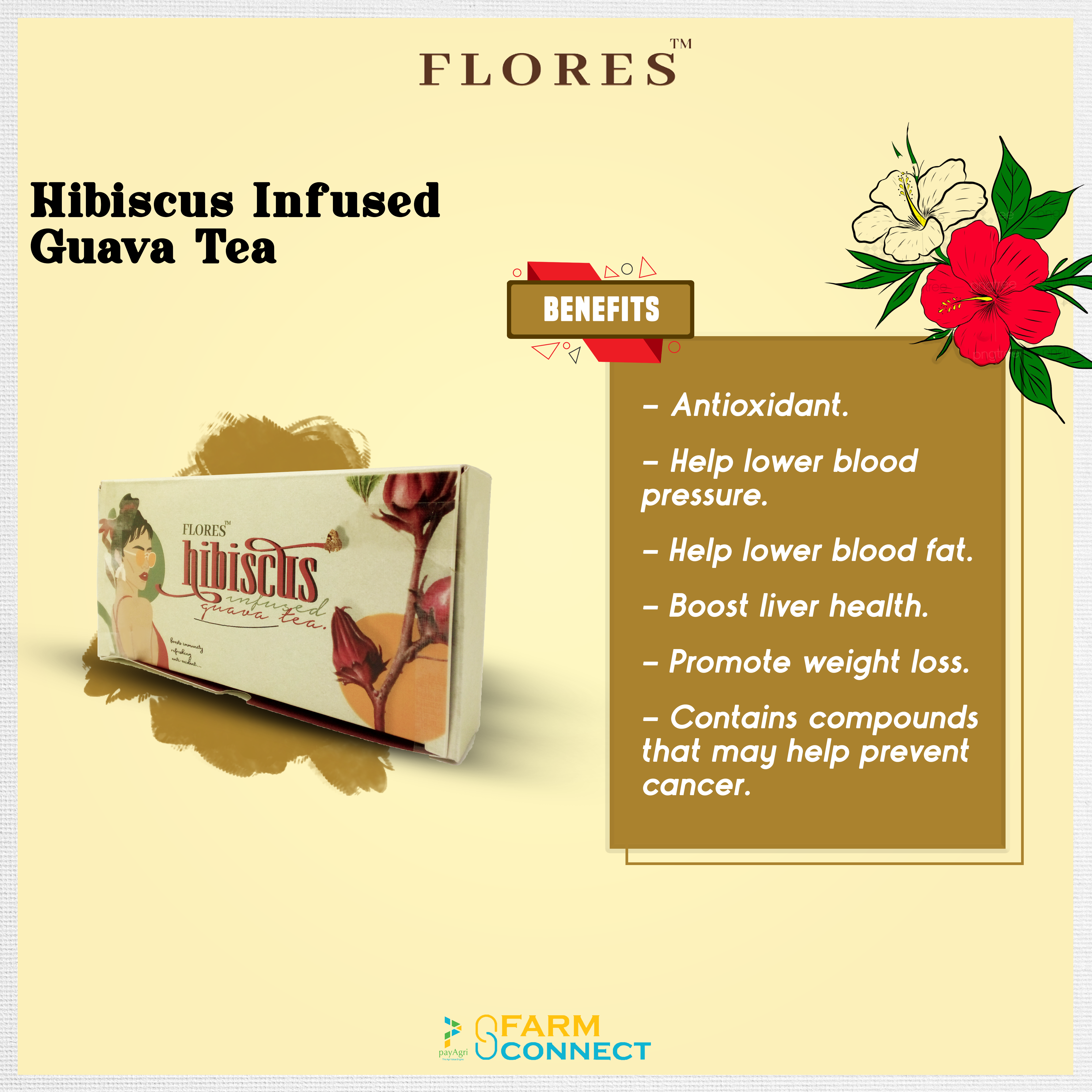 PayAgri Hibiscus educational post
